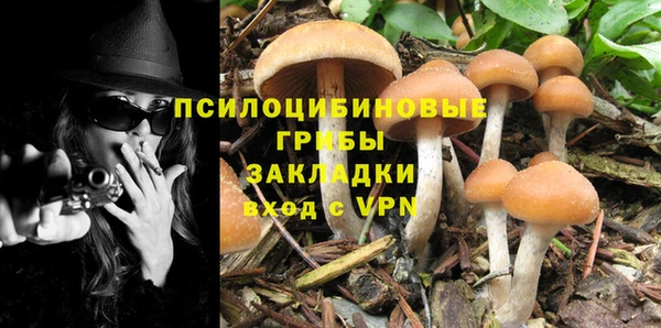 каннабис Куйбышев