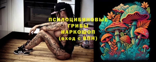 PSILOCYBIN Лабытнанги