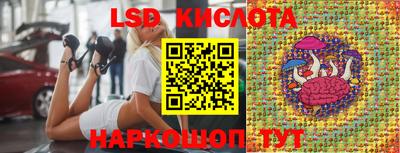 стафф Бийск