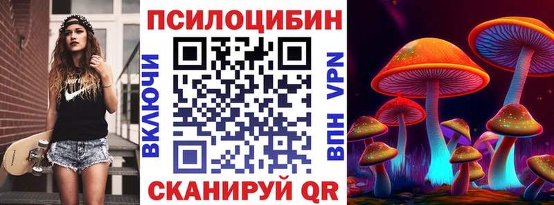 Псилоцибиновые грибы GOLDEN TEACHER Шатура