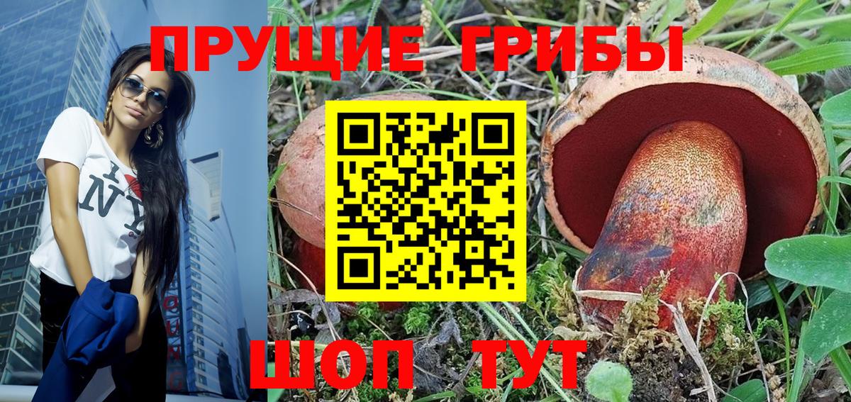 Галлюциногенные грибы мицелий  Шатура 