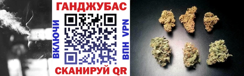Каннабис SATIVA & INDICA  сайты даркнета официальный сайт  Шатура  что такое  