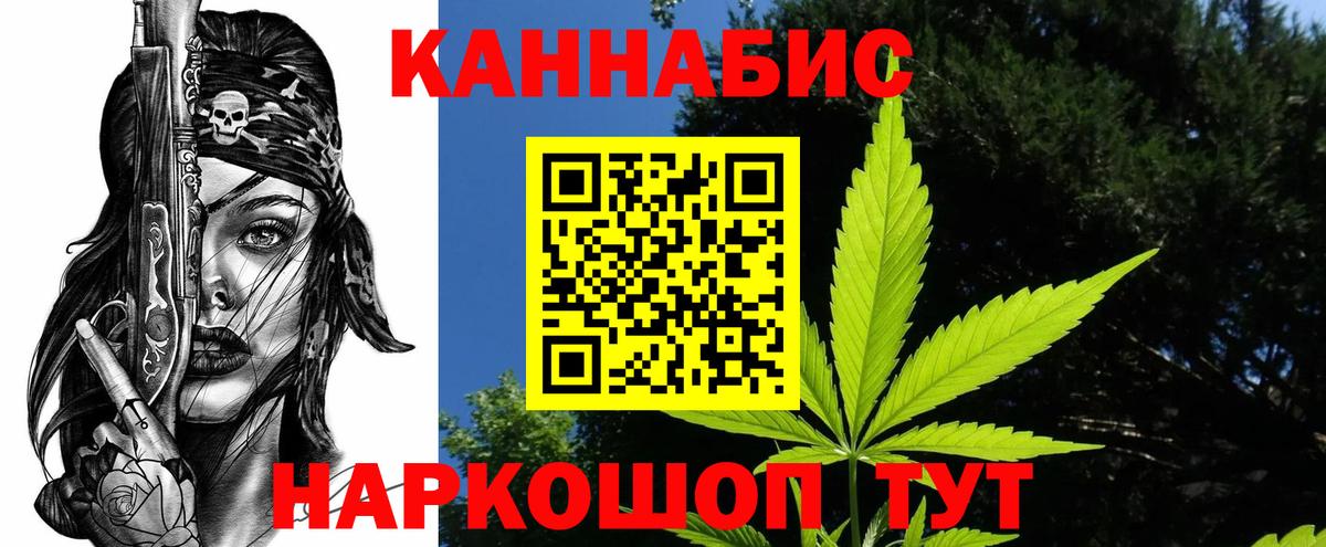 Канабис гибрид  Шатура  МАРИХУАНА Amnesia  Конопля семена 